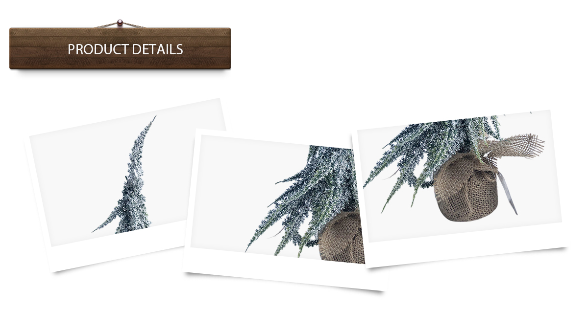 árbol de navidad fresco árbol de navidad fresco