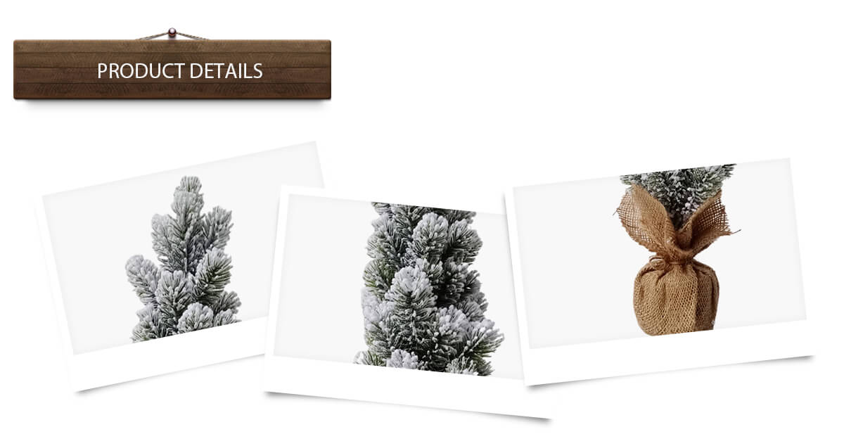 Рождественская елка Рождественская елка