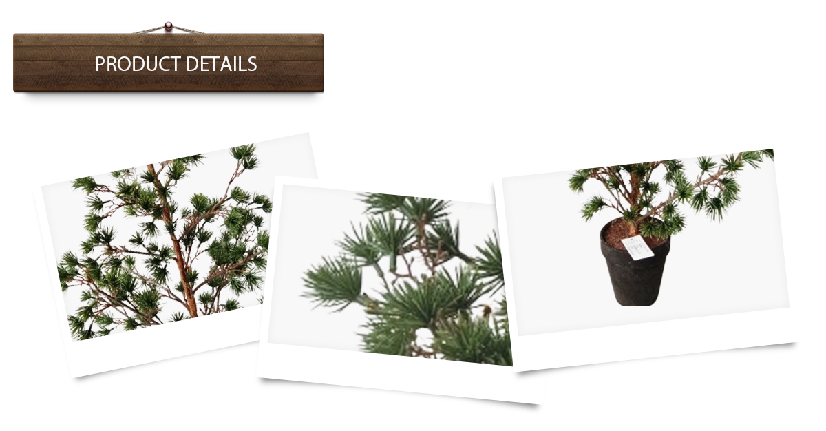 Árbol de Navidad Árbol de Navidad