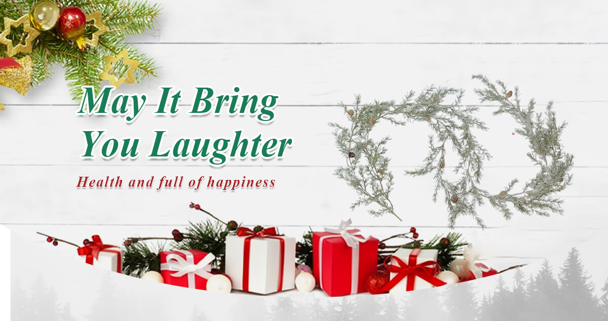 Guirnalda de invierno