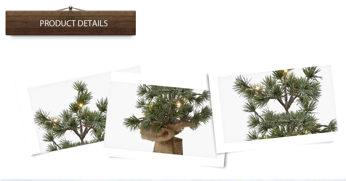 Weihnachtsbaum Weihnachtsbaum