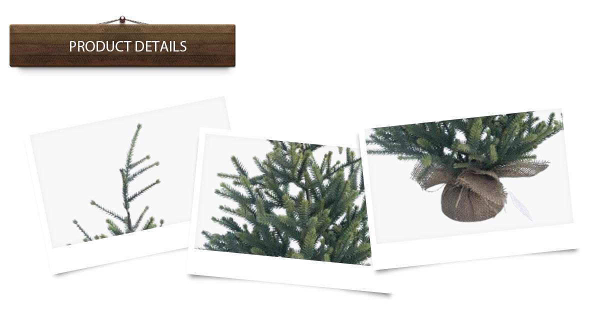 Árbol de Navidad Árbol de Navidad