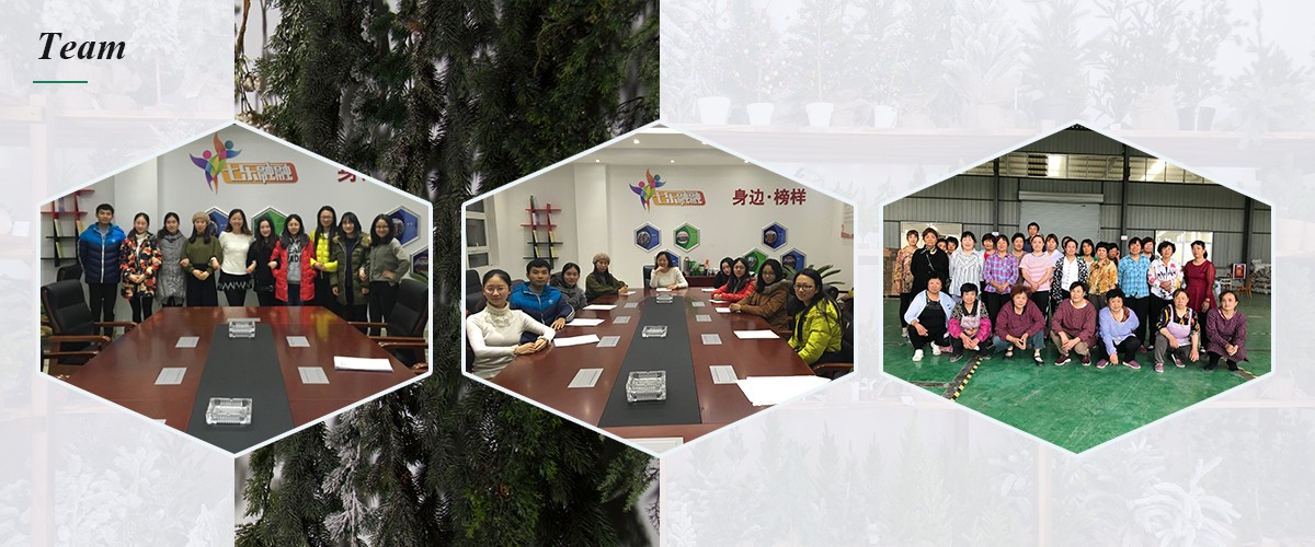 Christmas Queen Team