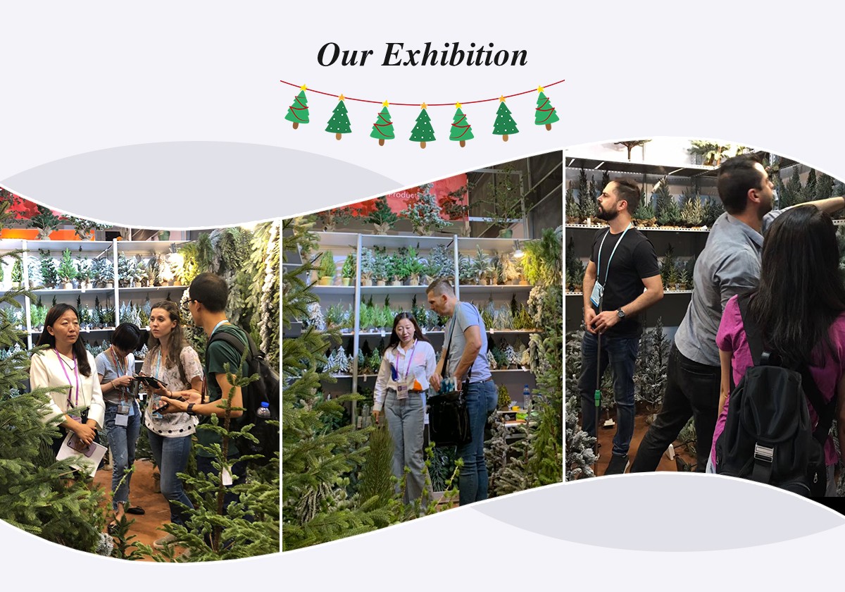 Christmas Queen Exhibition