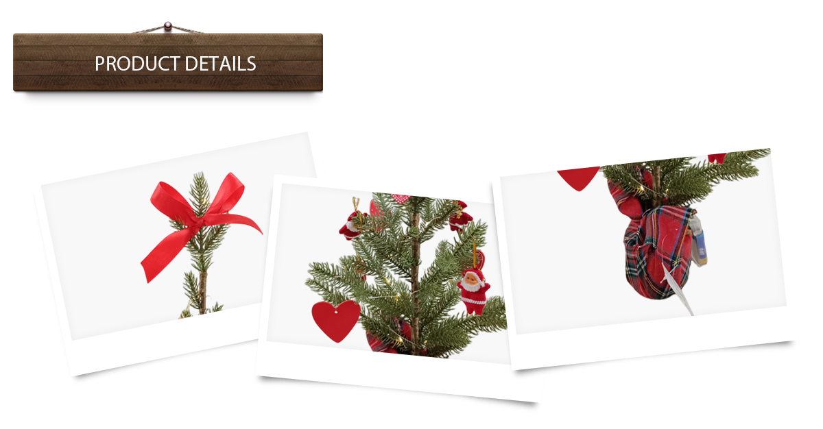 arbre de Noël arbre de Noël