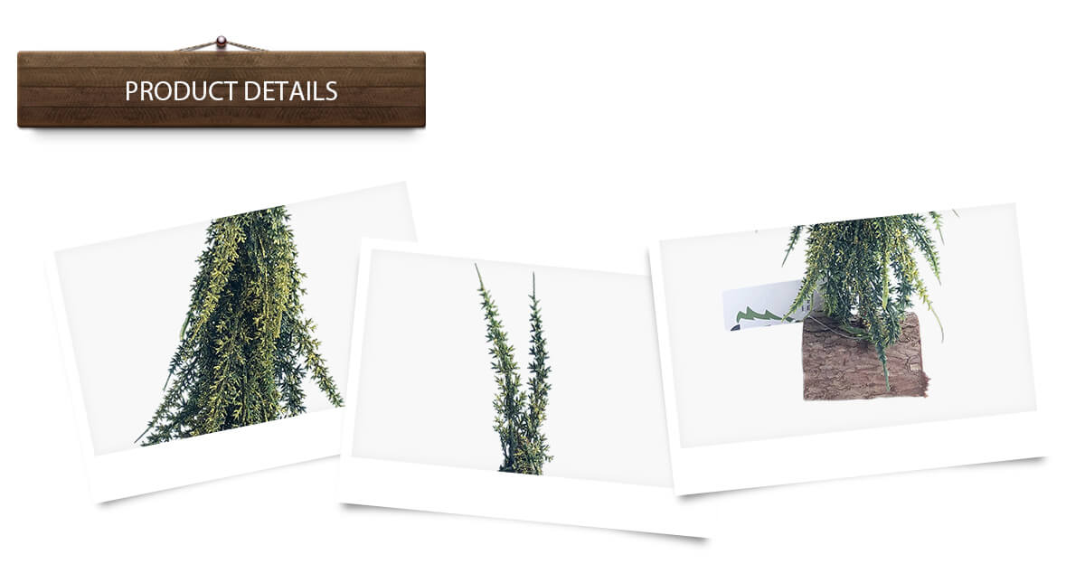 Рождественская елка Рождественская елка