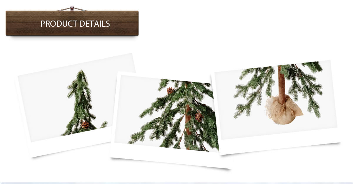 Árbol de Navidad Árbol de Navidad