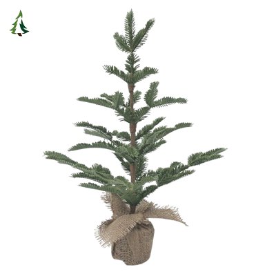 Ornements incassables