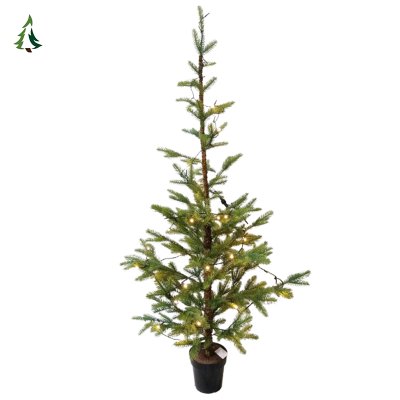 Предварительно освещенная рождественская елка в помещении