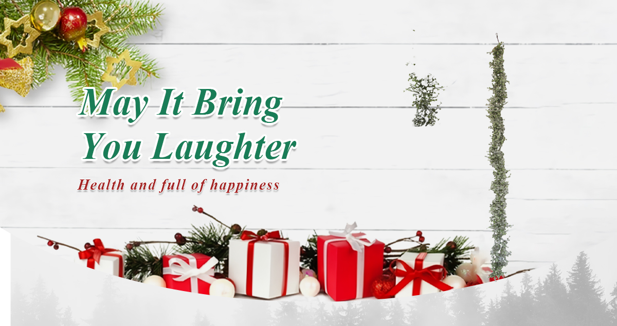 Guirlande de Noël de verdure Guirlande de Noël de verdure