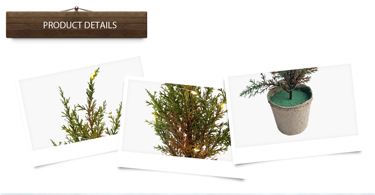 Рождественская елка Рождественская елка