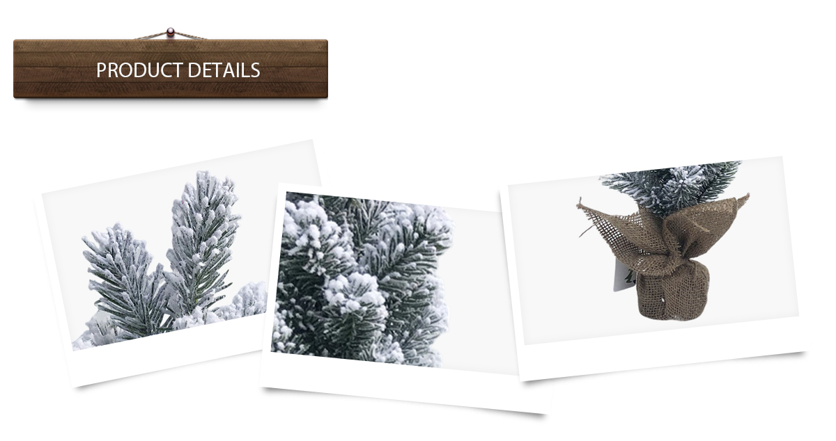 arbre de Noël arbre de Noël