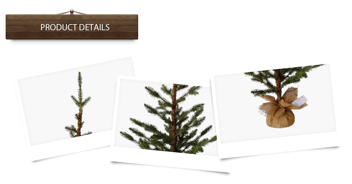 Рождественская елка