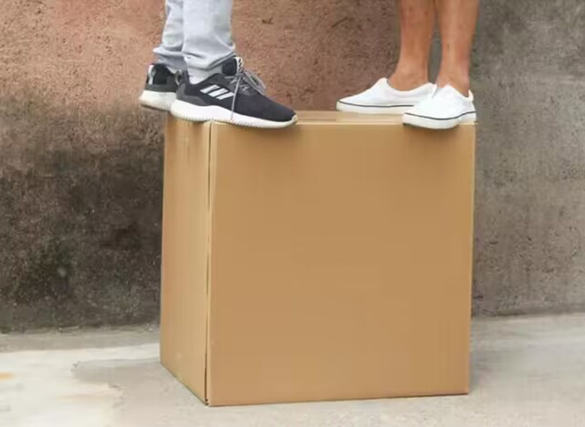 Рождественская елка Рождественская елка