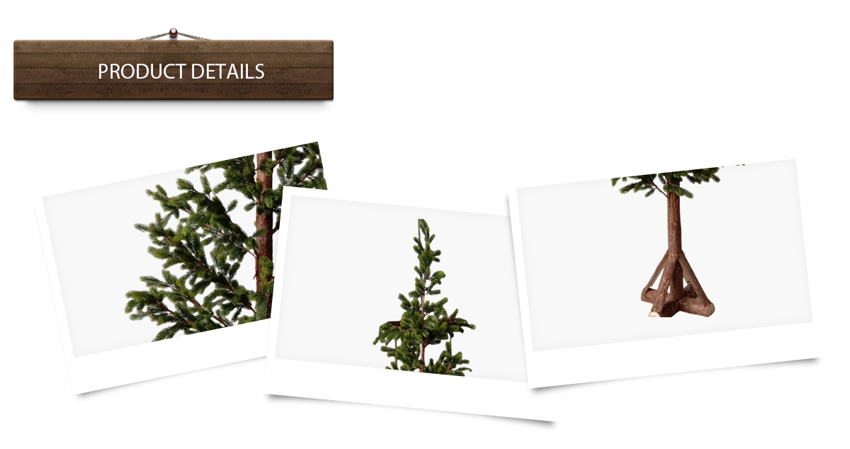 árbol de Navidad árbol de Navidad