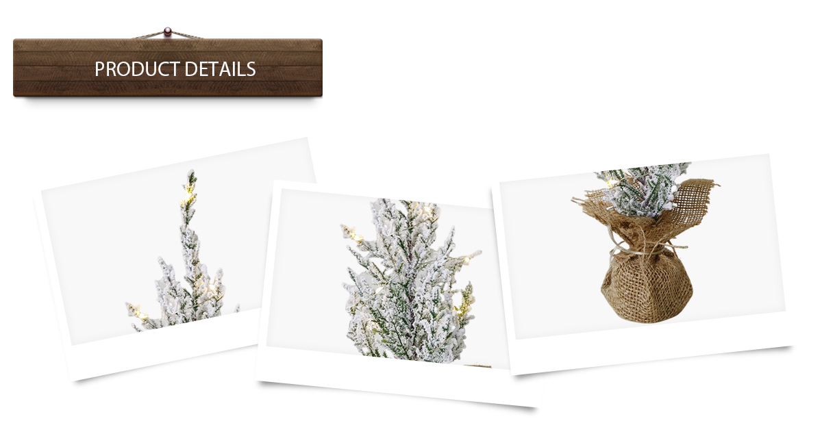 Рождественская елка Рождественская елка