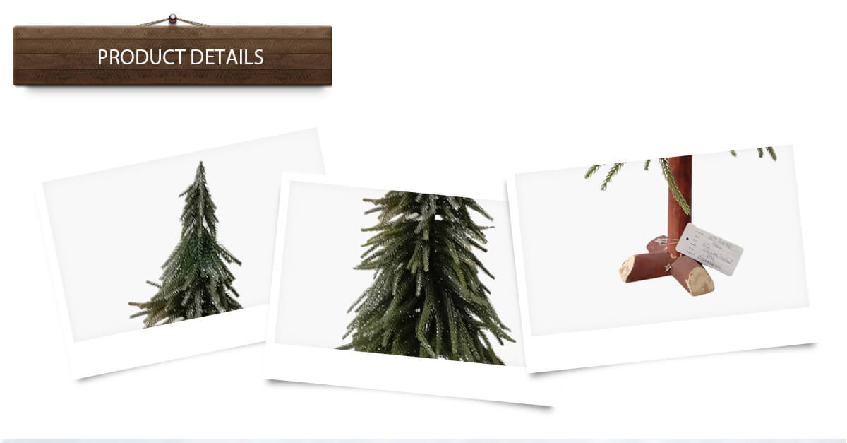 Рождественская елка Рождественская елка