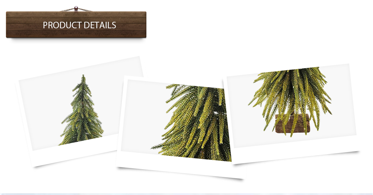 arbre de Noël arbre de Noël