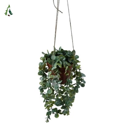 Coronas navideñas frescas