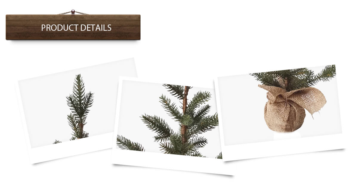 Орнамент дерева Орнамент дерева