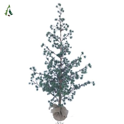 Des arbres pour les troupes