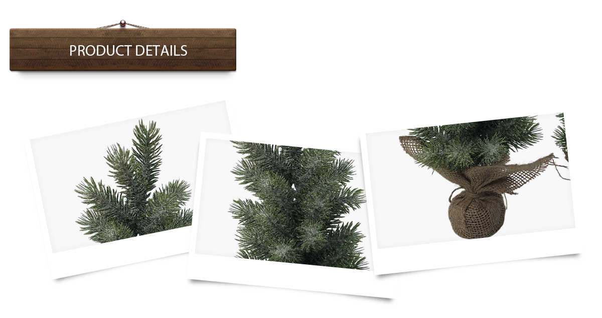 arbre de Noël arbre de Noël