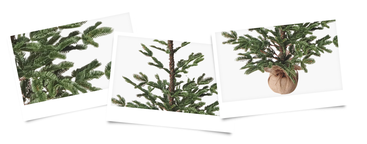 Arbre de Noël Arbre de Noël