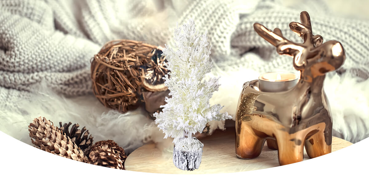 Маленькая живая елка Маленькая живая елка