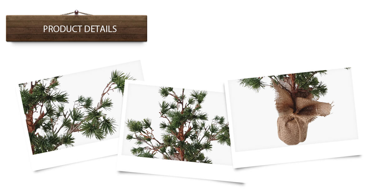 árbol de Navidad árbol de Navidad