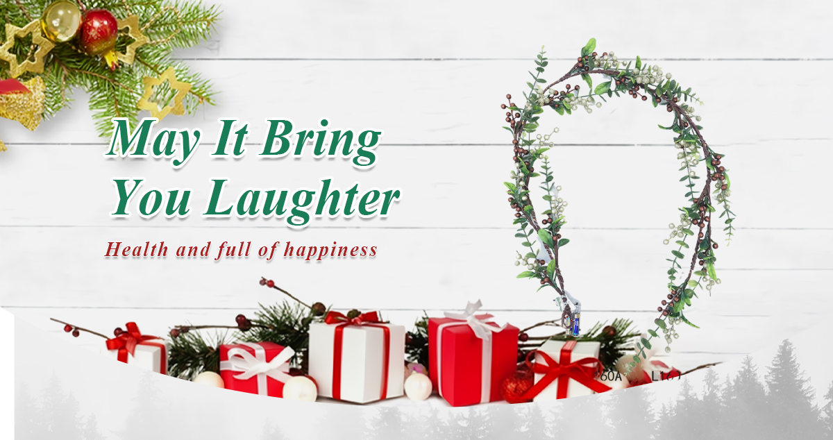 Guirlande De Fruits Rouges Guirlande De Fruits Rouges