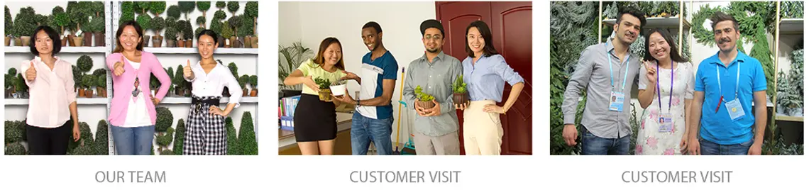 Weihnachtsbäume Weihnachtsbäume