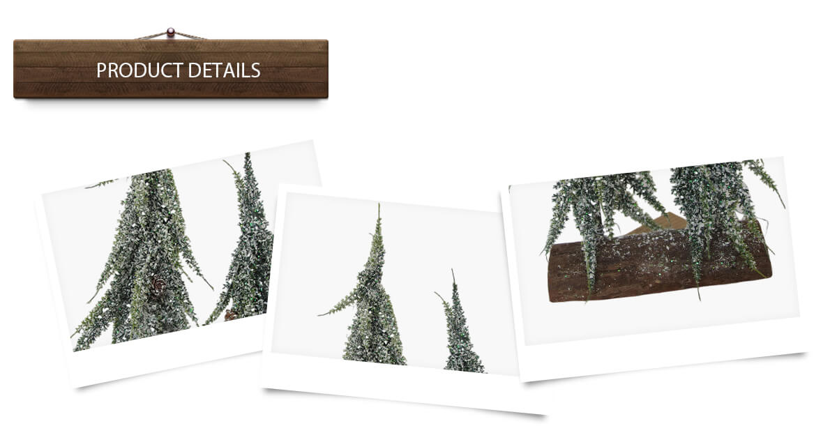 Рождественская елка Рождественская елка