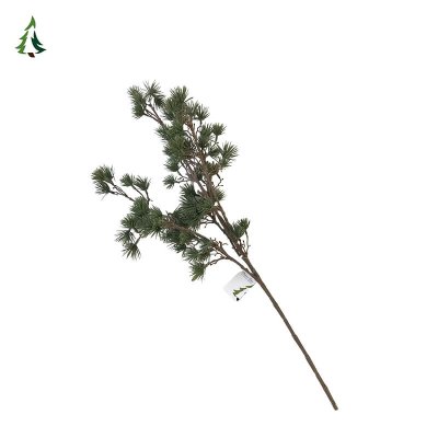 Rama De Árbol Navidad