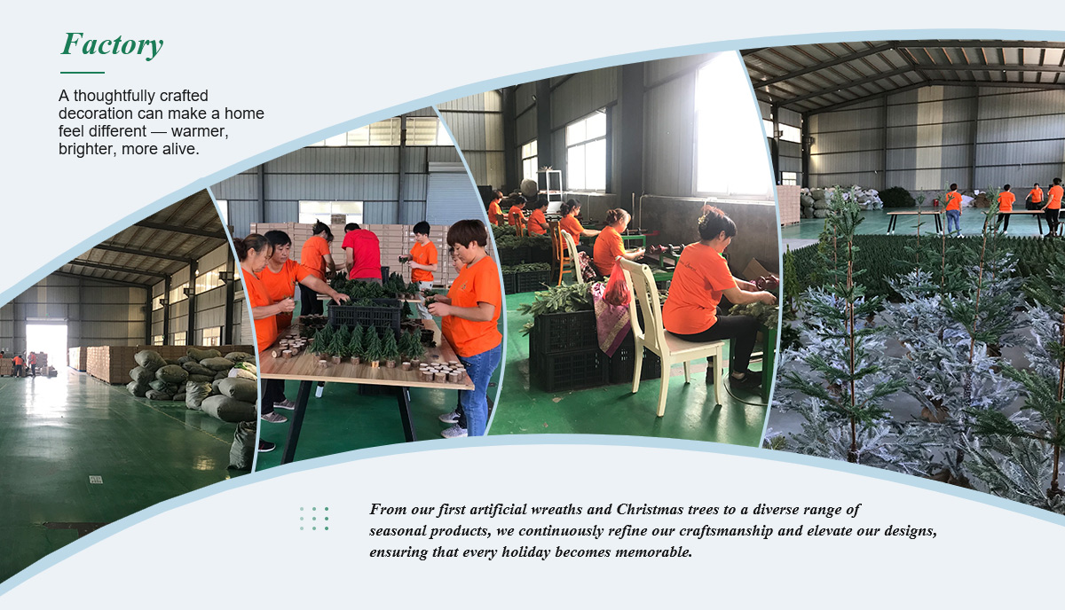 Usine de la Reine de Noël