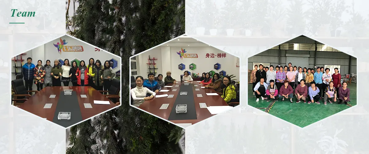 Christmas Queen team Christmas Queen team