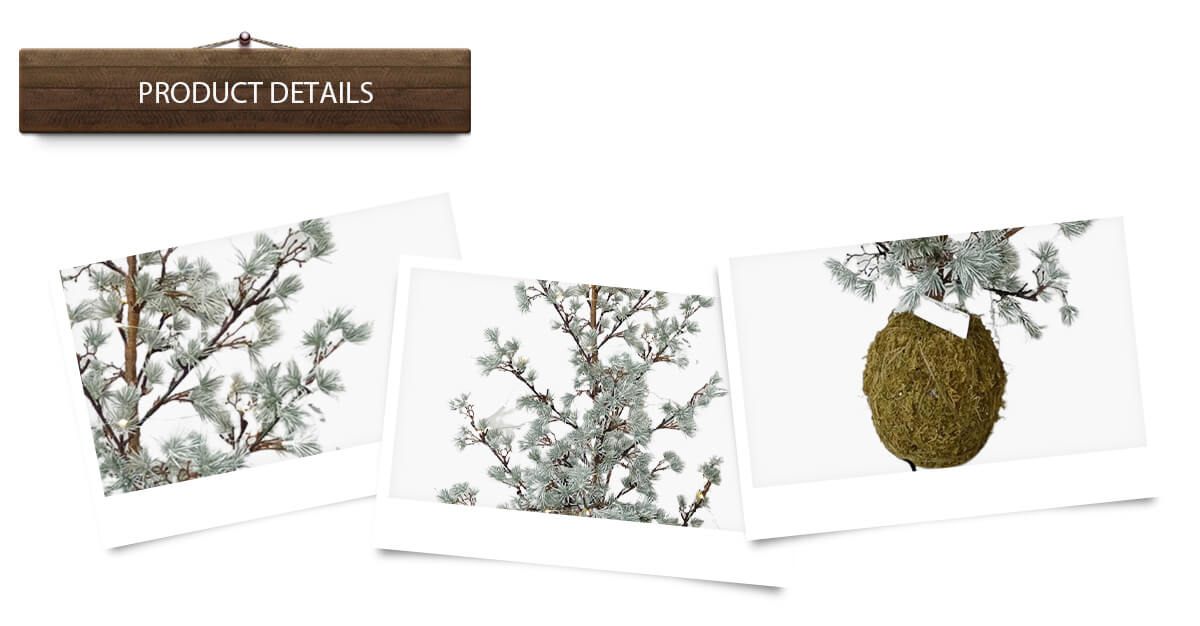 Рождественская елка Рождественская елка