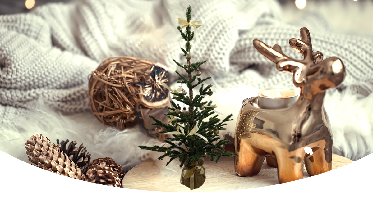 Рождественская елка Рождественская елка