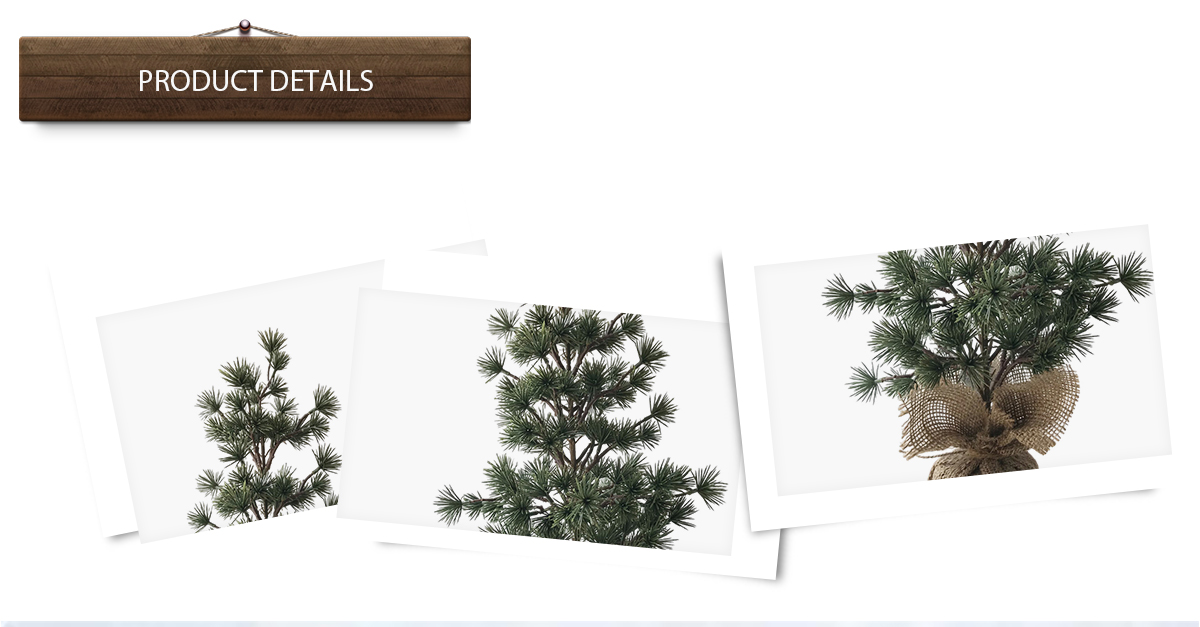 Árbol de Navidad Árbol de Navidad