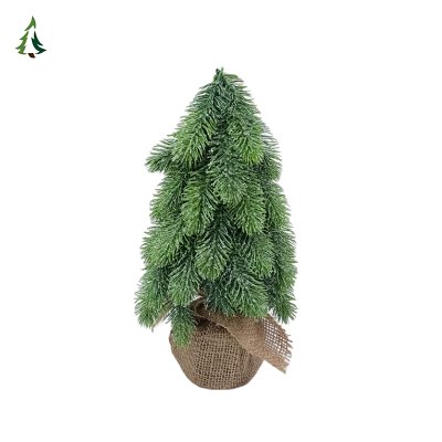 Живая Рождественская елка