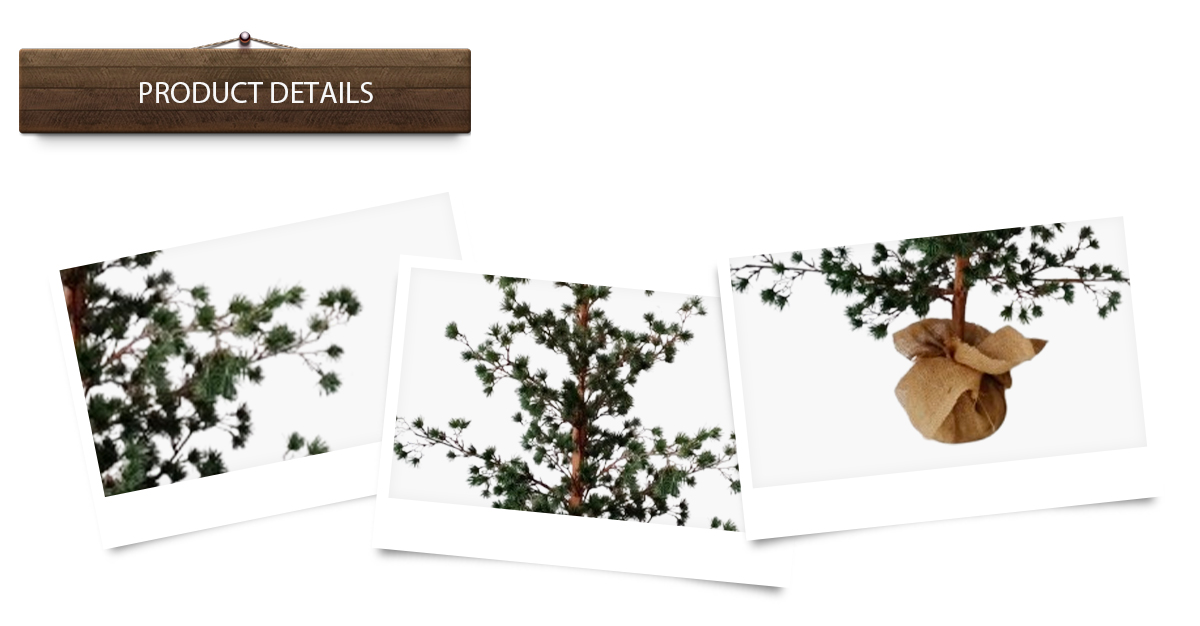 Деревянные украшения на заказ Деревянные украшения на заказ