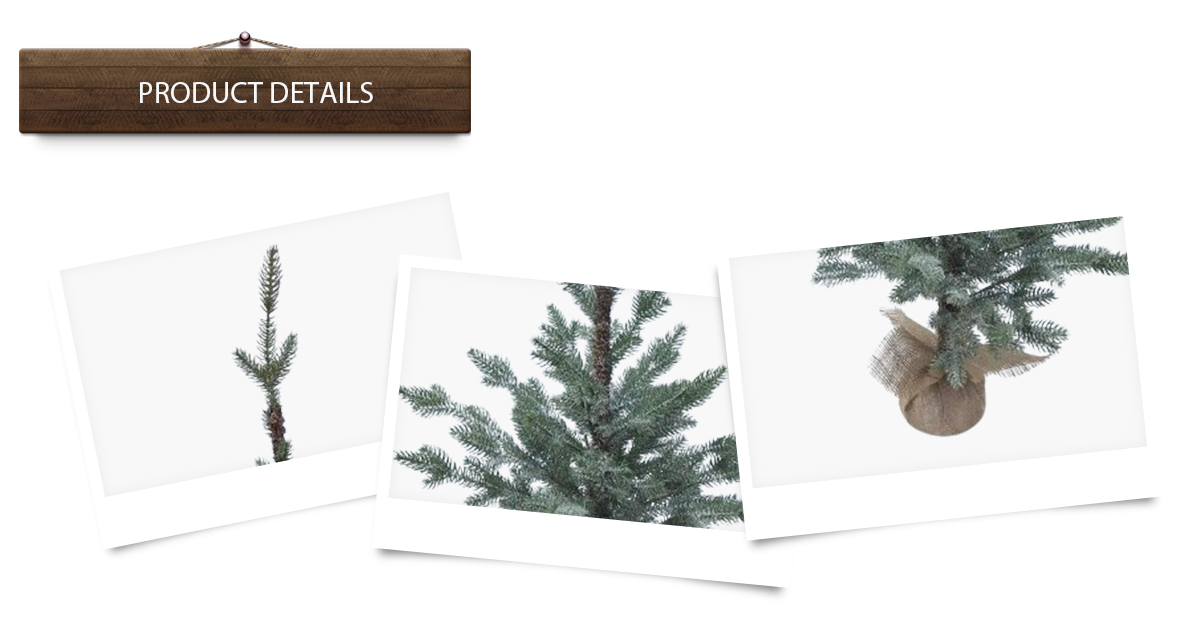 Árbol de Navidad Árbol de Navidad