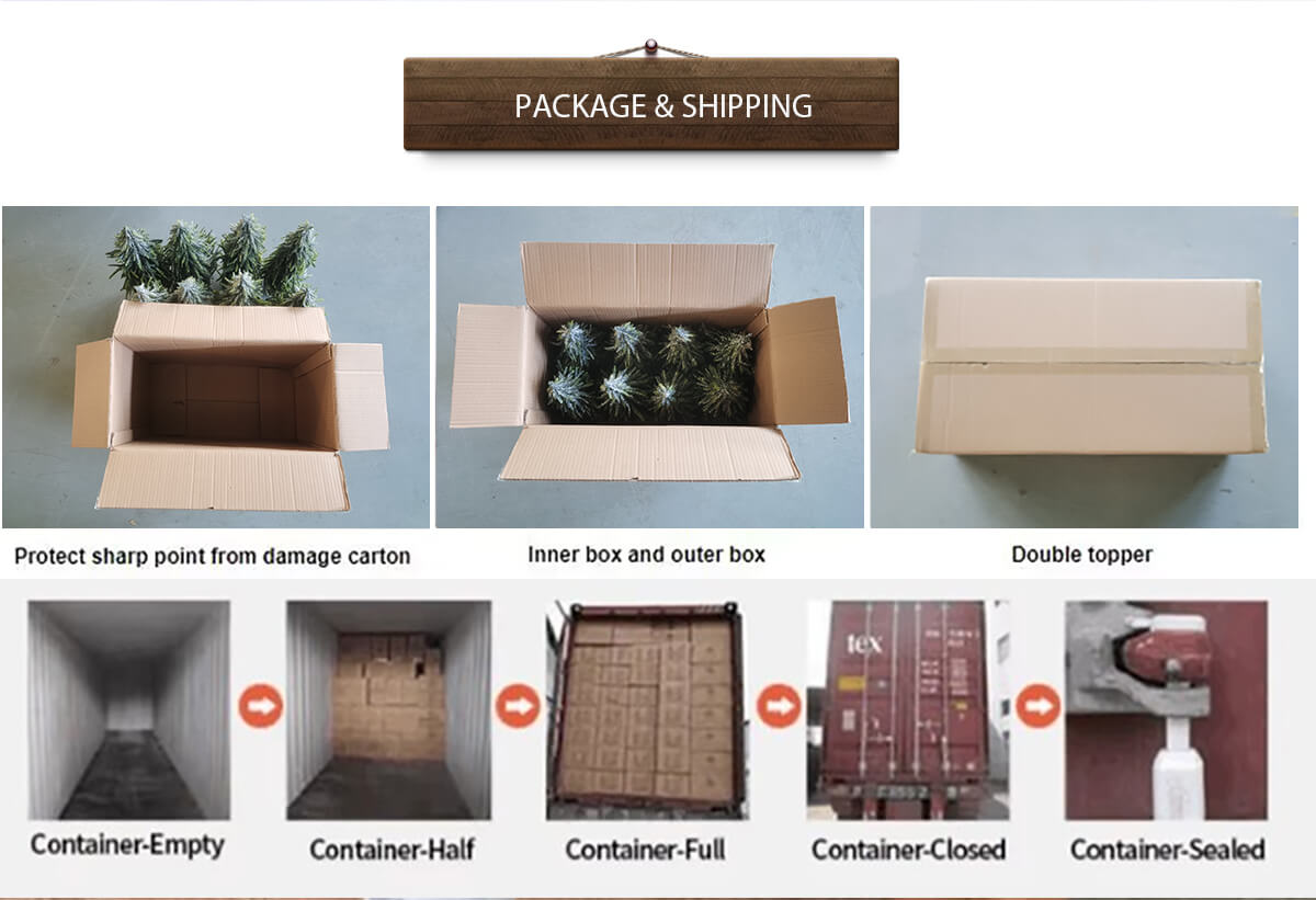 Árboles de Navidad en la puerta principal Árboles de Navidad en la puerta principal