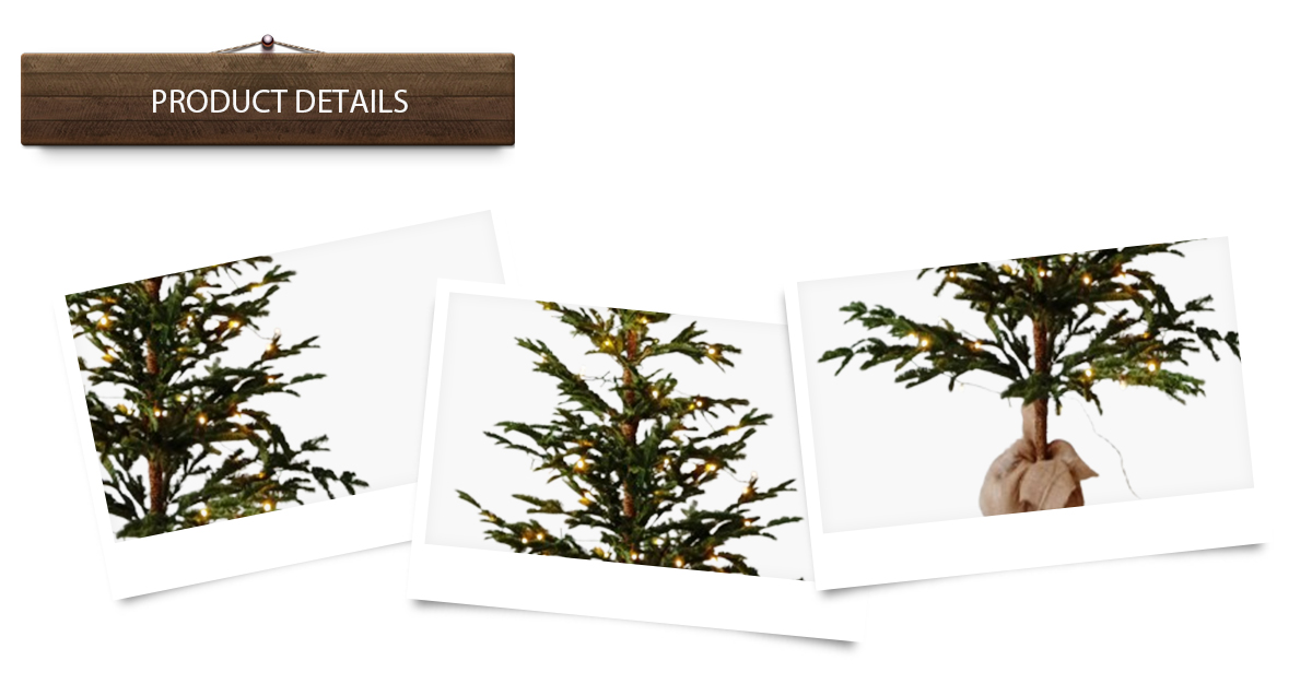 Рождественская елка Рождественская елка