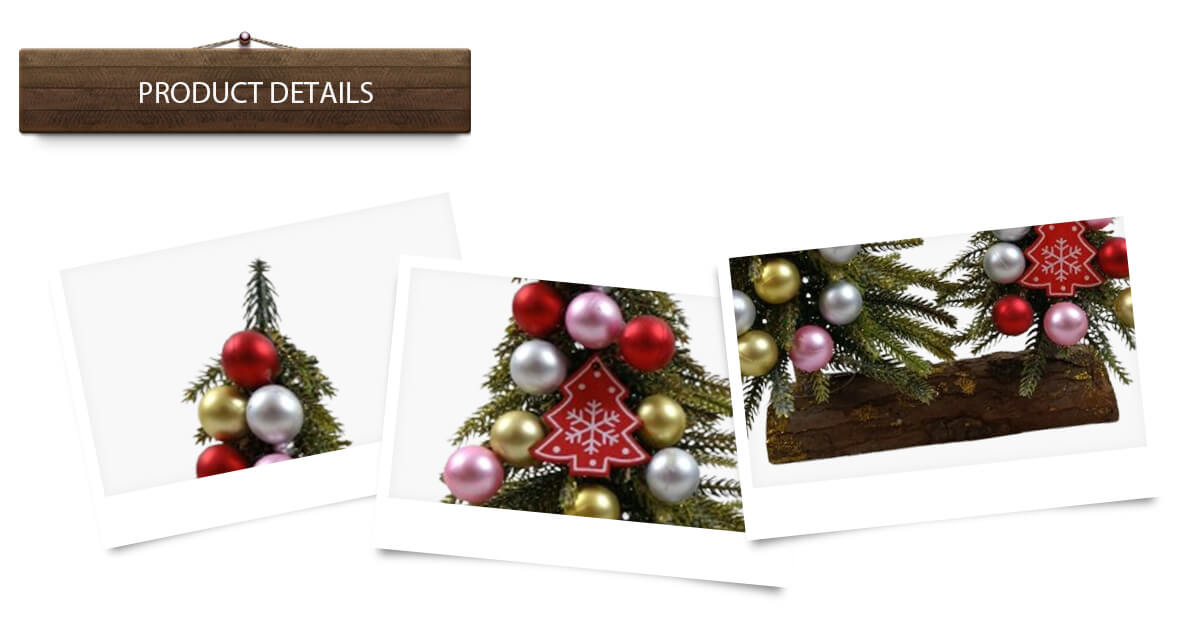 Arbres de Noël d'Amazonie Arbres de Noël d'Amazonie