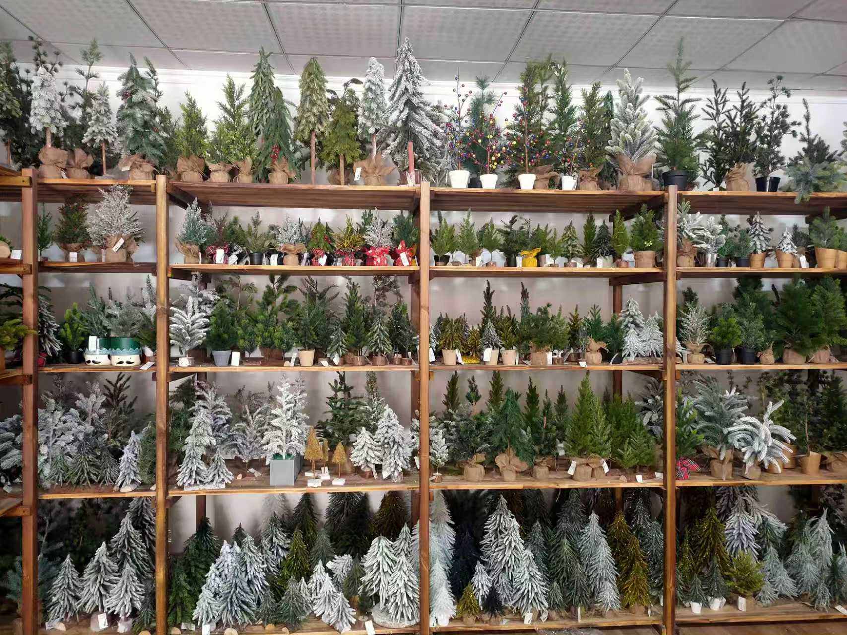 Bienvenue dans notre pays des merveilles des vacances !