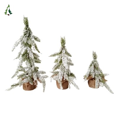 Árbol de Navidad de mesa vivo