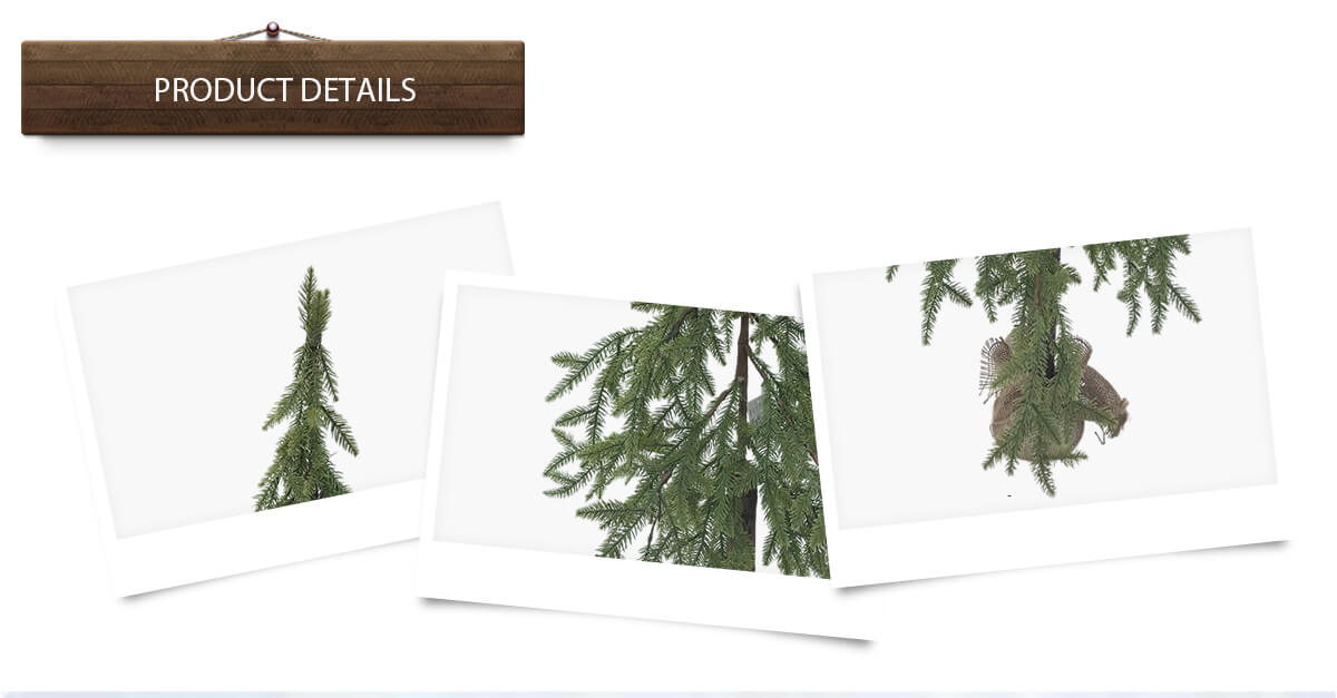 Arbre de Noël Arbre de Noël