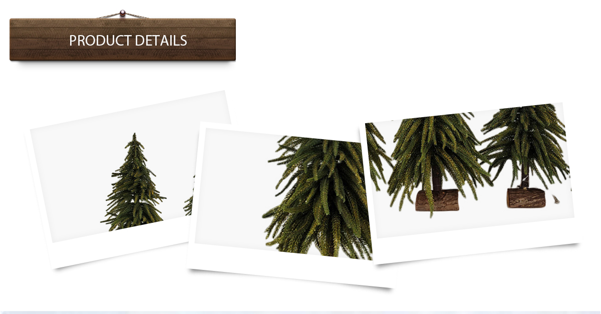 Рождественская елка Рождественская елка