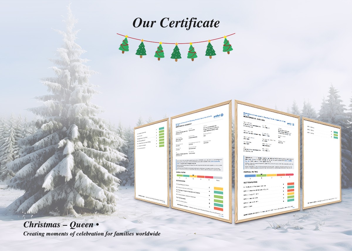 Сертификат Рождественской королевы