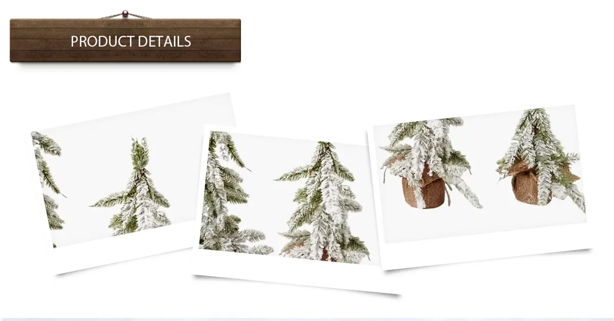 Live-Tisch-Weihnachtsbaum Live-Tisch-Weihnachtsbaum